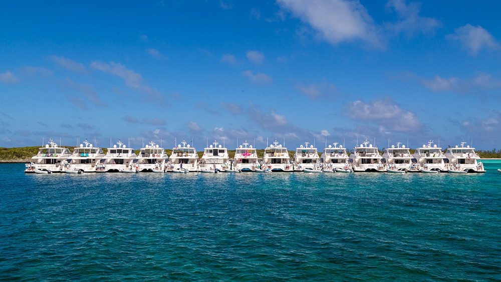 All yachts of Horizon Power Catamarans