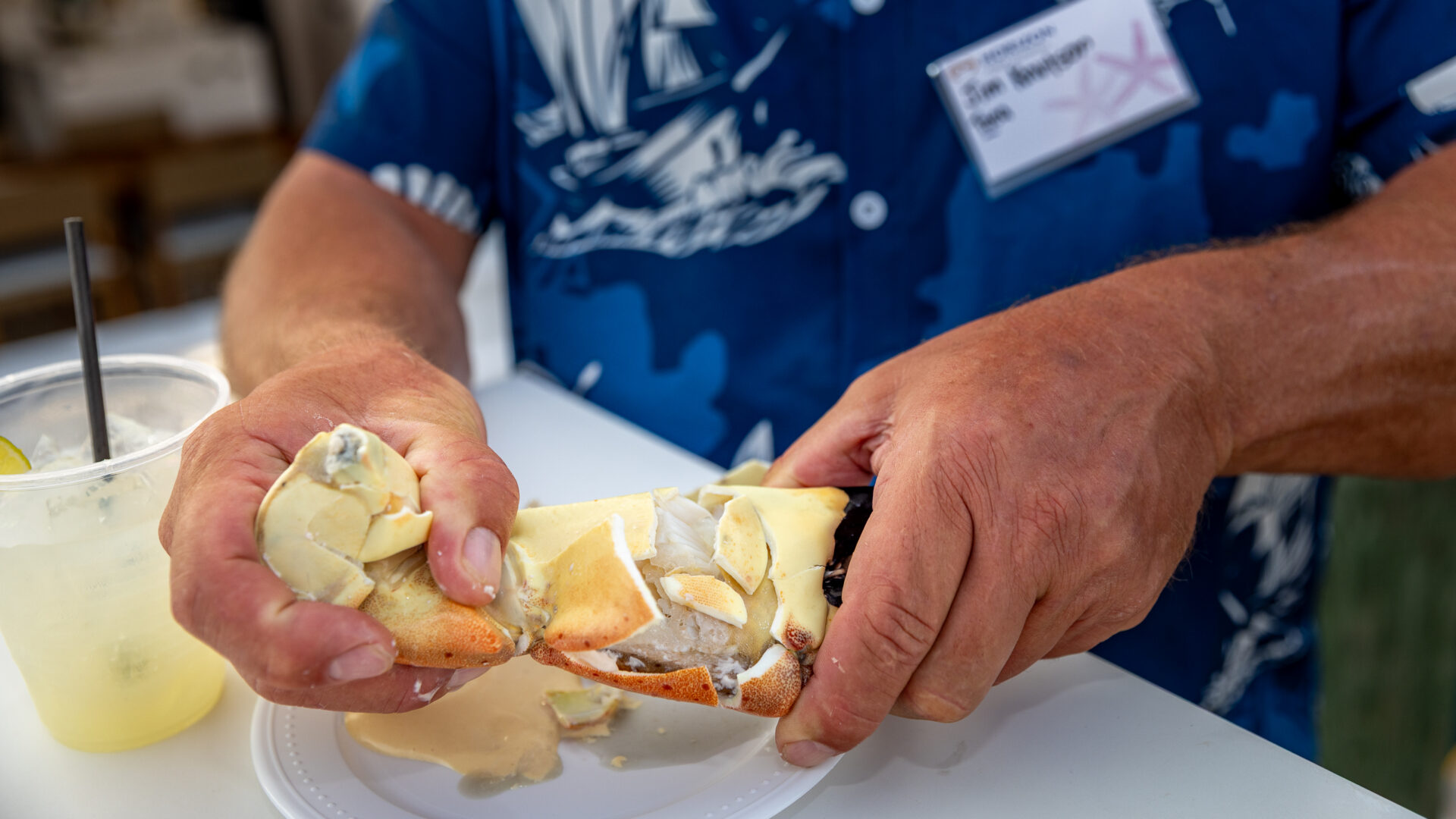 stone crab
